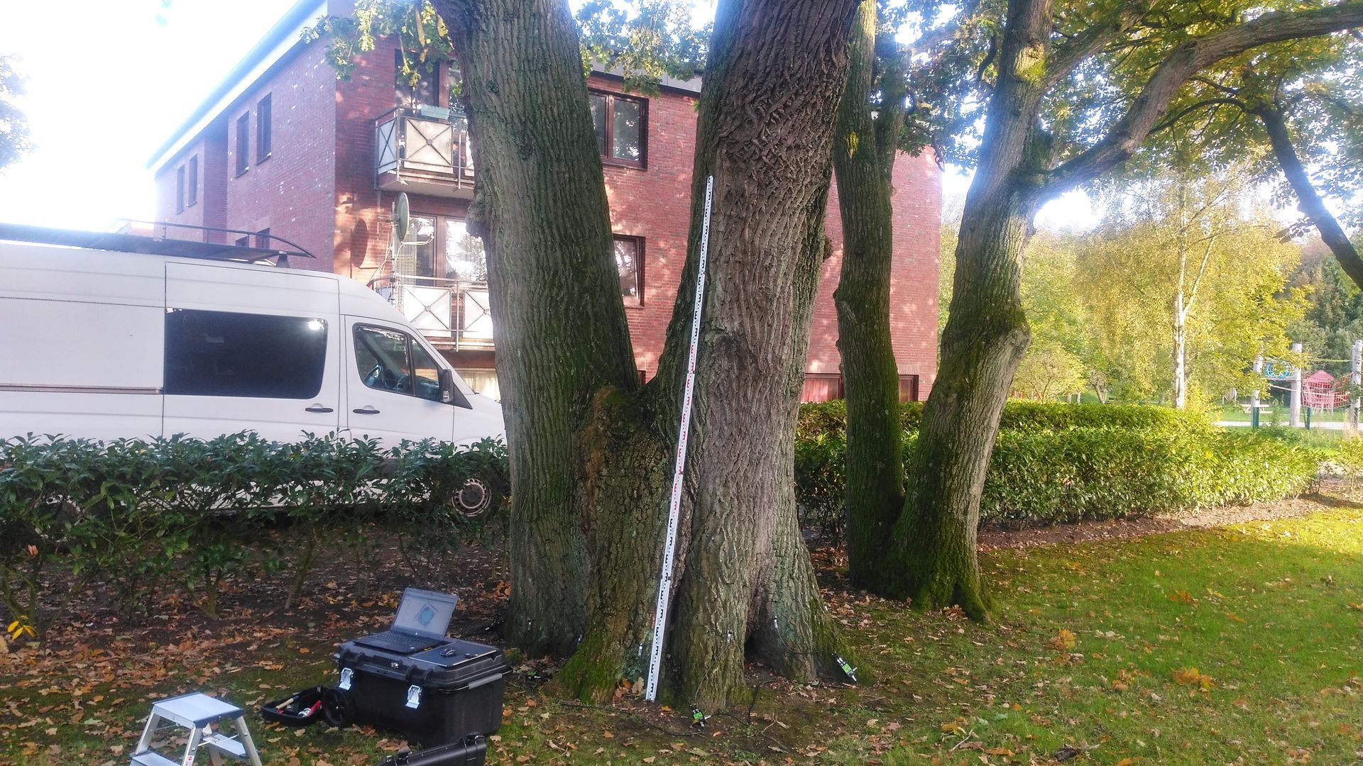 Baumkontrolle